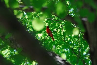 DSC_0464.JPG