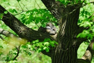 DSC_0470.JPG